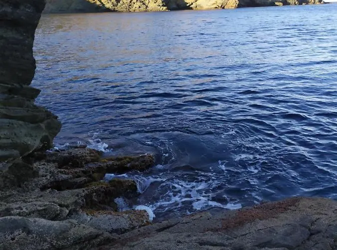 펜션 Sofia Sea View *